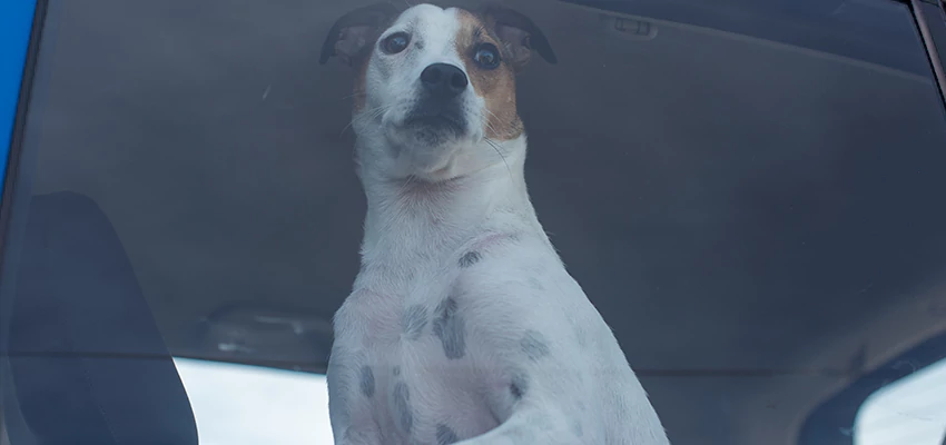 Car Lockout Solutions in Fairfield, California